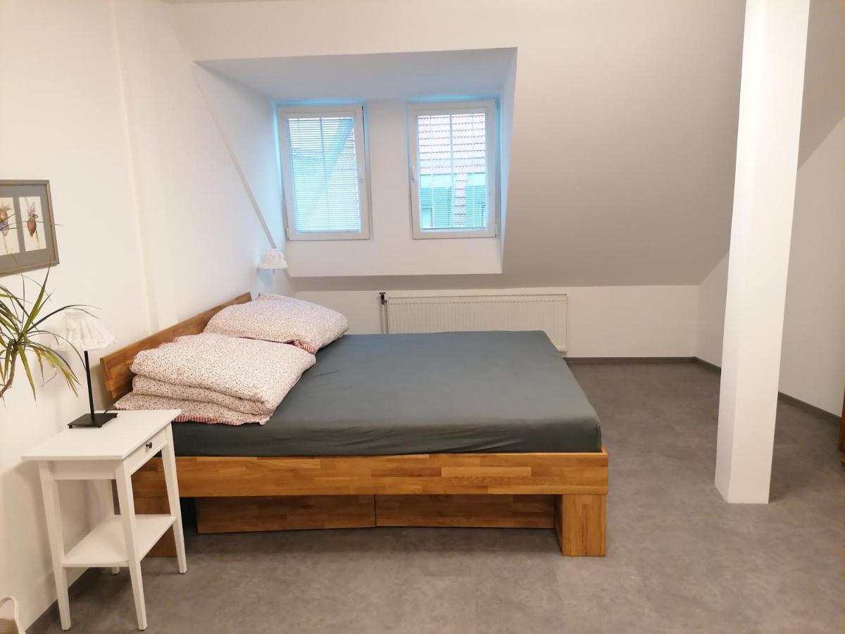 Apartman U Zoubku Appartamento Litomyšl Esterno foto
