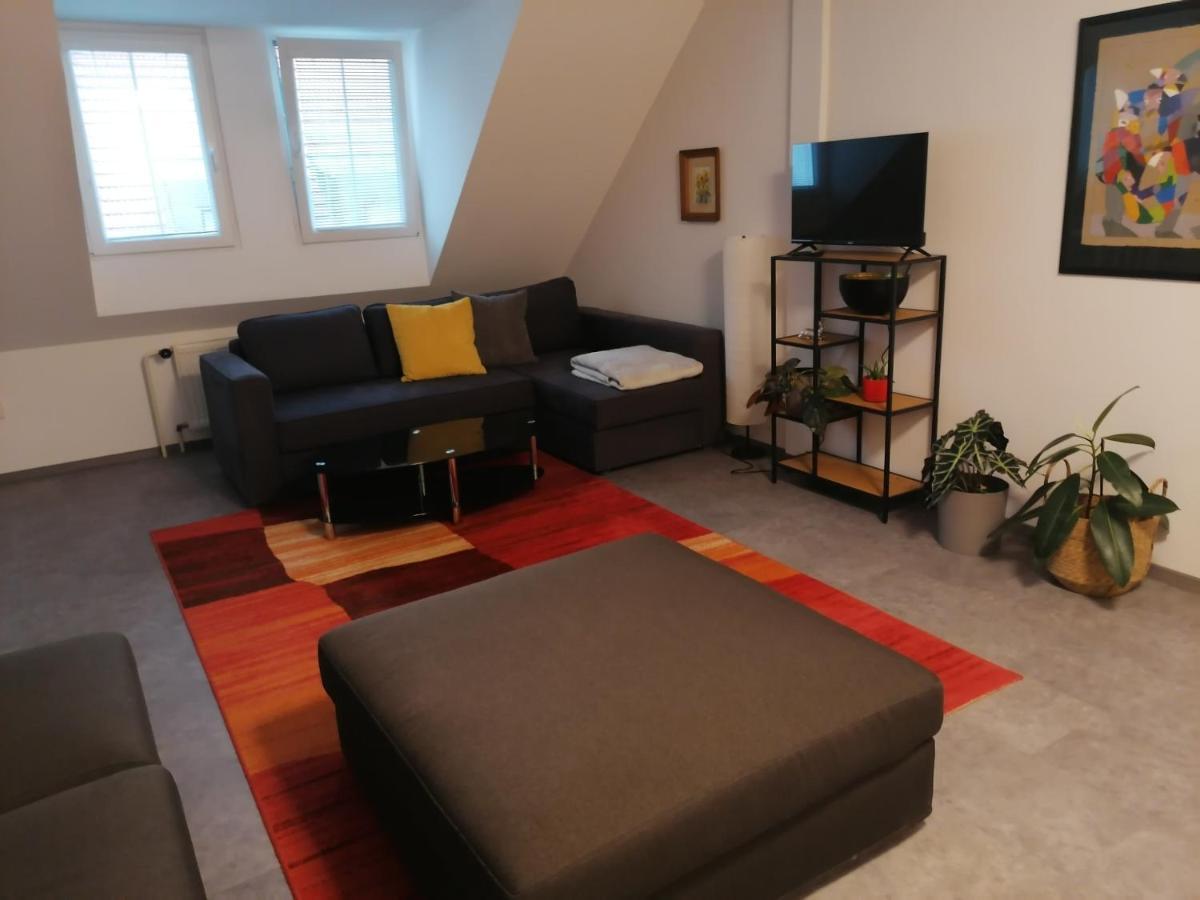 Apartman U Zoubku Appartamento Litomyšl Esterno foto